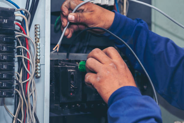 Best Electrical Upgrades for Homes  in Massanetta Springs, VA
